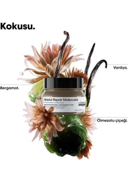 L'Oréal Professionnel Absolut Repair Molecular - Tüm Yıpranmış Saçlar İçin Yoğun Onarıcı Maske 250 ml