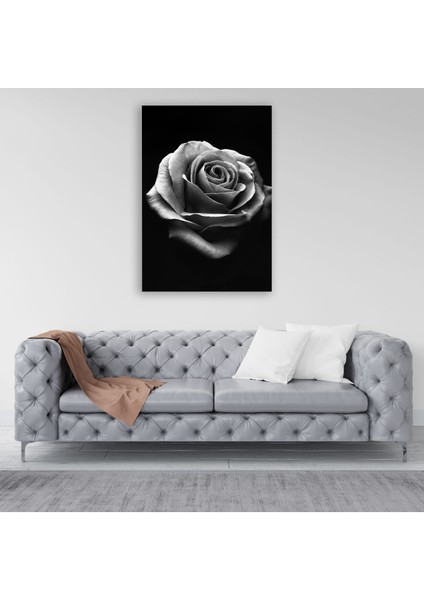 Gül Siyah Beyaz Tablosu - BLK127