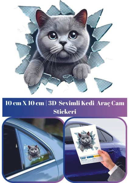 3D Sevimli Kedi Tasarımlı Eğlenceli Araç Stickeri Oto Aksesuar 10*10CM