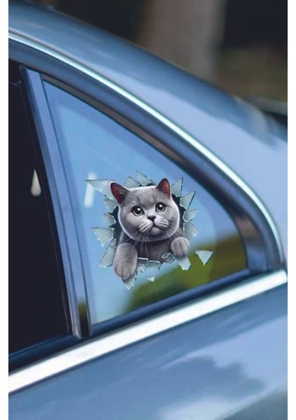 3D Sevimli Kedi Tasarımlı Eğlenceli Araç Stickeri Oto Aksesuar 10*10CM