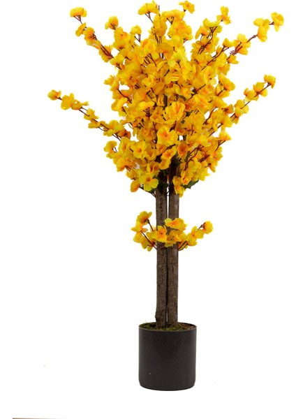 Gri Saksıda 100 cm Sarı Bahardalı