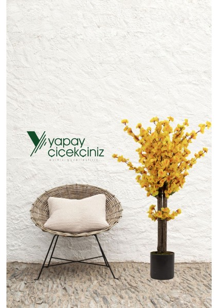 Gri Saksıda 100 cm Sarı Bahardalı fiyatları