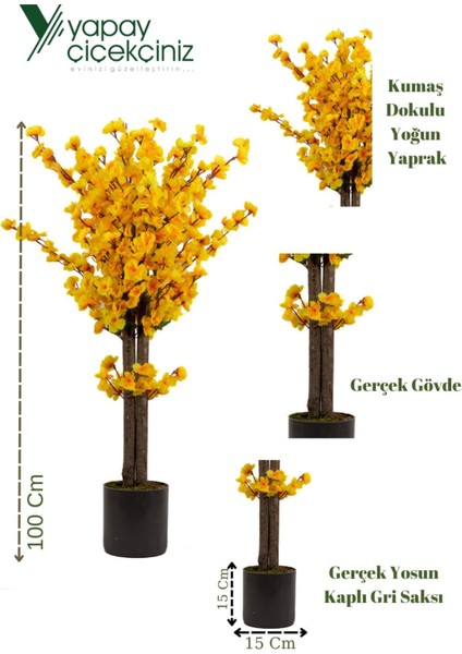 Gri Saksıda 100 cm Sarı Bahardalı fırsatları