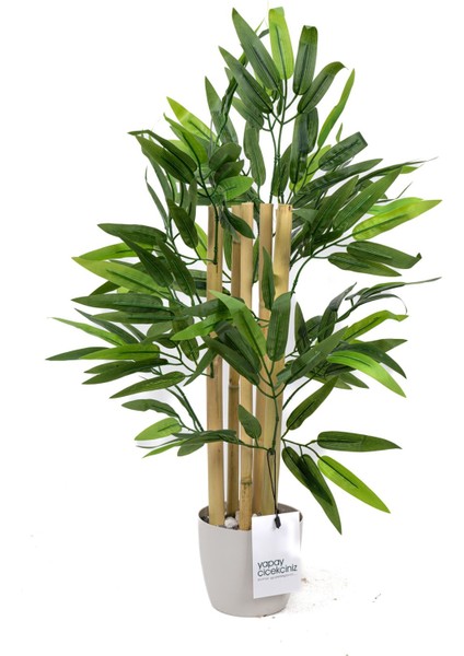 Taş Detaylı Saksıda 60 cm Yapay Bambu Ağacı