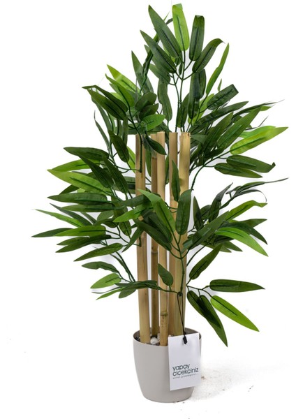 Taş Detaylı Saksıda 60 cm Yapay Bambu Ağacı fırsatları