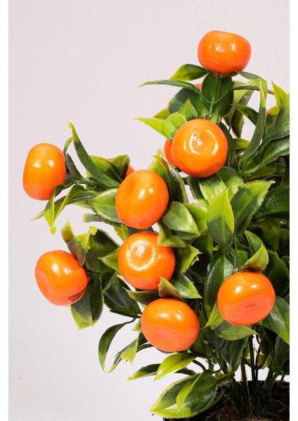 Siyah Saksıda Yapay Mandalina Ağacı
