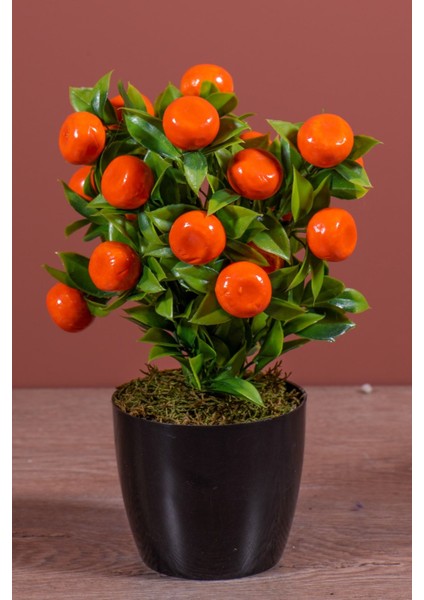 Siyah Saksıda Yapay Mandalina Ağacı
