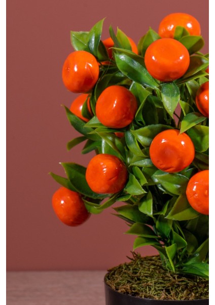 Siyah Saksıda Yapay Mandalina Ağacı