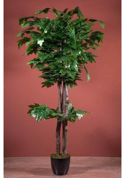 120 cm Yapay Çınar Ağacı