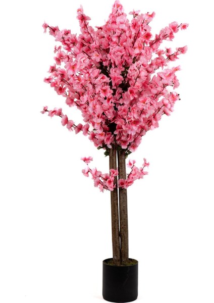 120 cm Pembe Bahardalı Ağacı