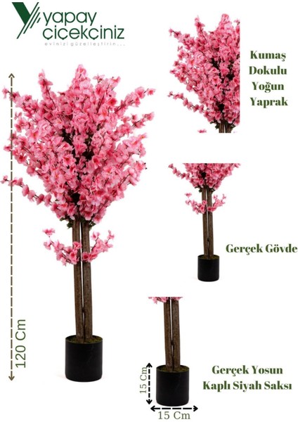 120 cm Pembe Bahardalı Ağacı fiyatları