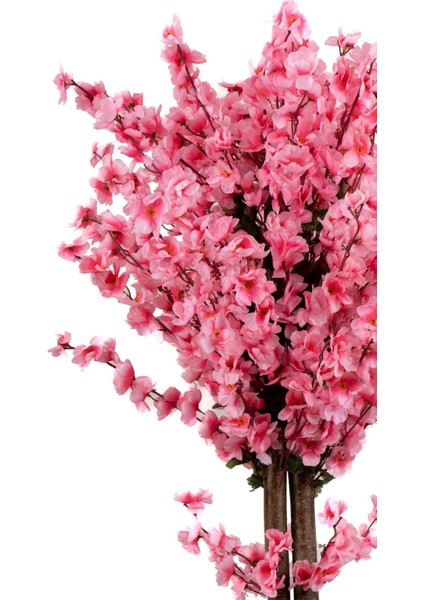 120 cm Pembe Bahardalı Ağacı modelleri