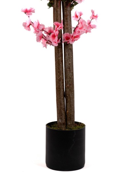 120 cm Pembe Bahardalı Ağacı indirimleri