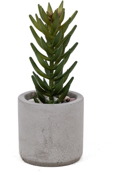 Beton Saksıda Yapay 3'lü Kaktüs Seti fiyatları