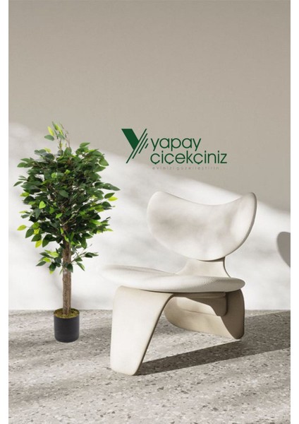 120 cm Benjamin Ağacı