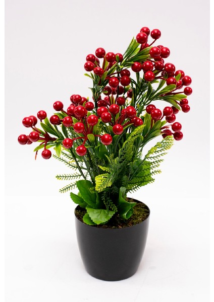 Siyah Saksıda Büyük Yapay Kokina Ağacı