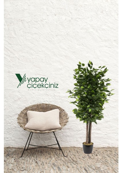 Siyah Saksıda Yoğun Yapraklı 100 cm Yapay Benjamin Ağacı
