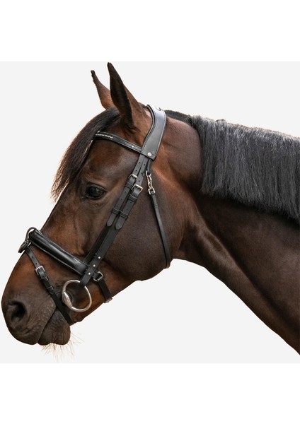 Fouganza Burun Bandı - Siyah - 580