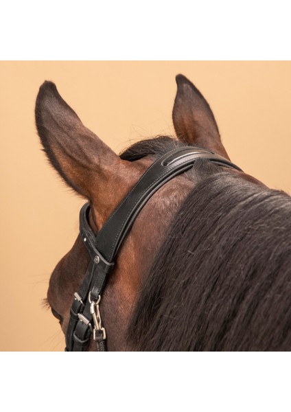 Fouganza Burun Bandı - Siyah - 580 indirimleri