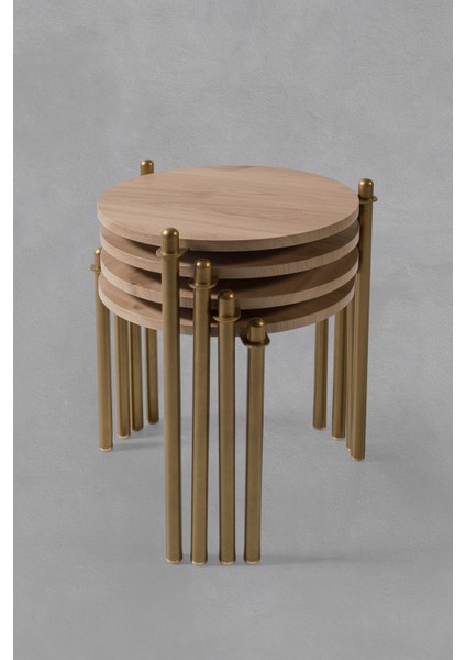 4'Lü Flora Zigon Sehpa