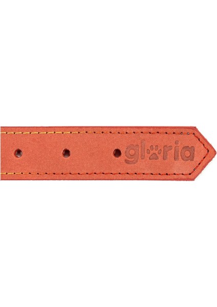 Köpek Tasması Gloria Oasis Kırmızı (35 x 1,2 Cm) (Yurt Dışından)