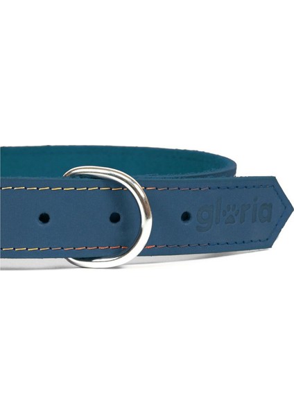 Köpek Tasması Gloria Oasis Mavi (70 x 3 Cm) (Yurt Dışından) modelleri