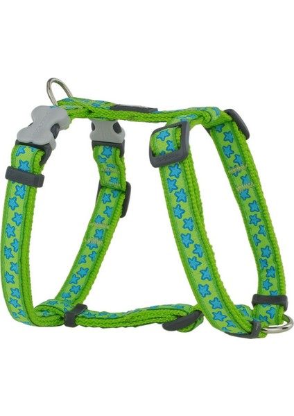 Köpek Tasması Kırmızı Dingo Style Yıldız Yeşili 25-39 cm (Yurt Dışından)