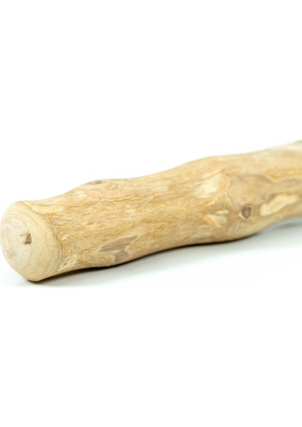 Köpek Oyuncağı Gloria Stick Xs Chewy Wood (1 Adet) (Yurt Dışından)