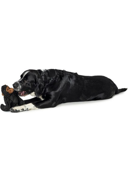 Köpekler Için Yumuşak Oyuncak Hunter Tough Kamerun Gorilla (29 Cm) (Yurt Dışından)