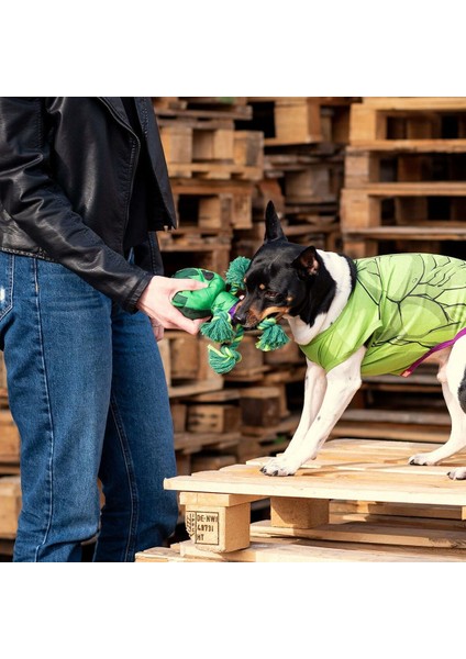 Köpek Oyuncağı Yenilmezler Yeşili %100 Polyester (Yurt Dışından)