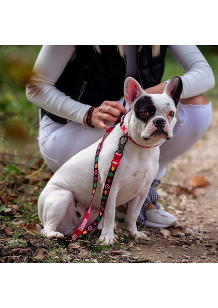 Köpek Kurşun Marvel Kırmızı M (Yurt Dışından)