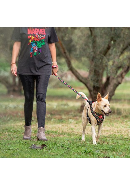 Köpek Kurşun Marvel Kırmızı M (Yurt Dışından)