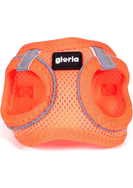 Köpek Tasması Gloria Trek Star 32,8-35,4 cm 45-47 cm Turuncu M (Yurt Dışından)