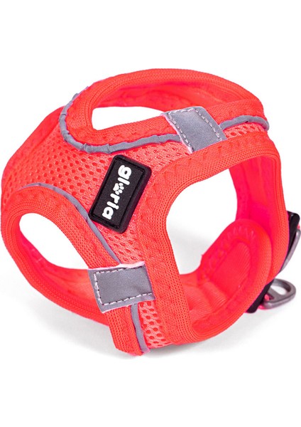 Köpek Tasması Gloria Air Mesh Star Pembe Beden Xxs (24-26 Cm) (Yurt Dışından)