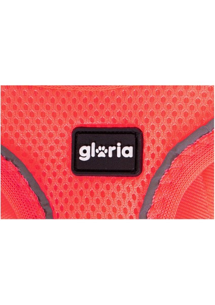 Köpek Tasması Gloria Air Mesh Star Pembe Beden Xxs (24-26 Cm) (Yurt Dışından)