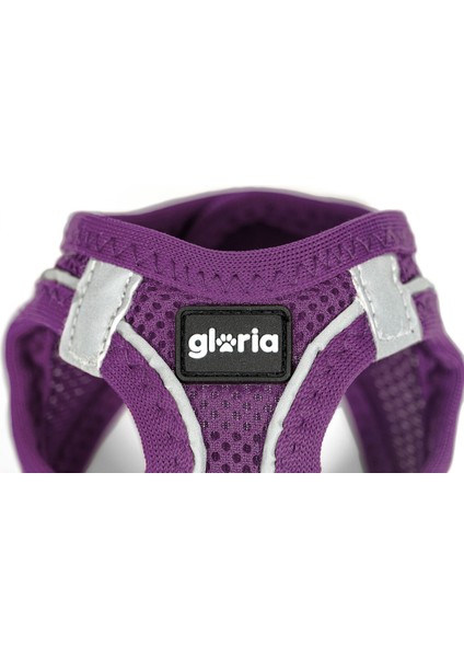 Köpek Tasması Gloria Trek Star 24-26 cm 28-28,6 cm Mor Xxs (Yurt Dışından)