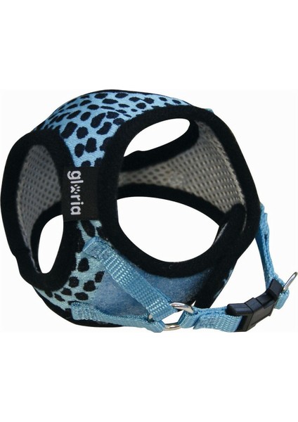 Köpek Tasması Gloria Leopard M 27-35 cm Mavi (Yurt Dışından)