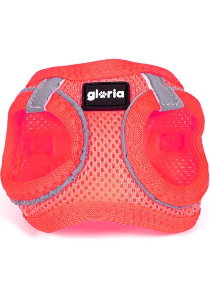 Köpek Tasması Gloria Trek Star 29,4-32,6 cm 41,4-43 cm Pembe S (Yurt Dışından)