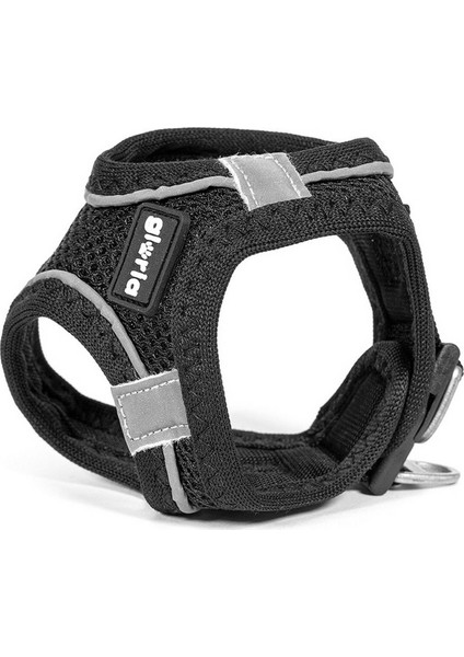 Köpek Tasması Gloria Air Mesh Trek Star Ayarlanabilir Siyah Beden Xxxs (18-20 Cm) (Yurt Dışından)