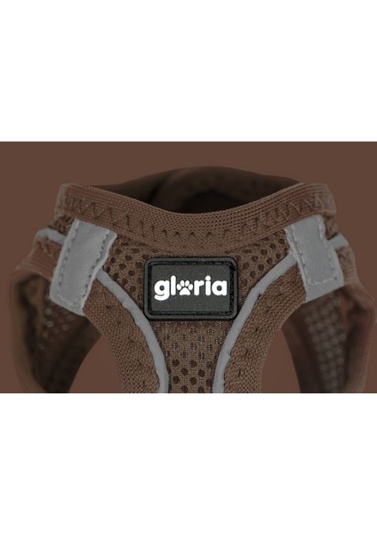 Köpek Tasması Gloria 31-34,6 cm Kahverengi Xs 27-28 cm (Yurt Dışından)