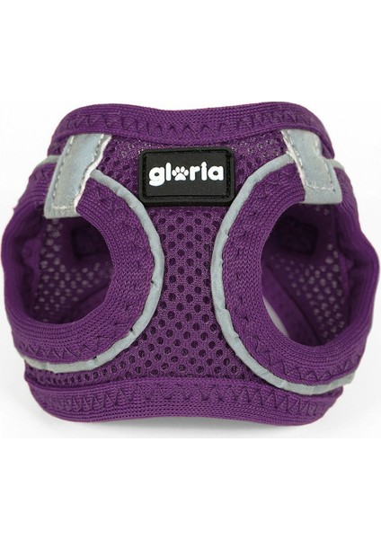 Köpek Tasması Gloria Air Mesh Trek Star Ayarlanabilir Mor Beden Xxxs (18-20 Cm) (Yurt Dışından)