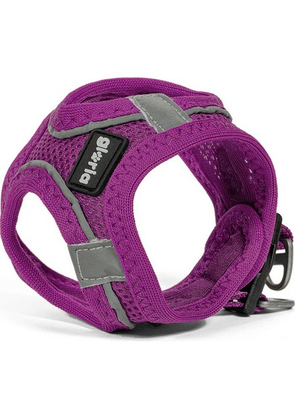 Köpek Tasması Gloria Air Mesh Trek Star Ayarlanabilir Mor Beden Xxxs (18-20 Cm) (Yurt Dışından)