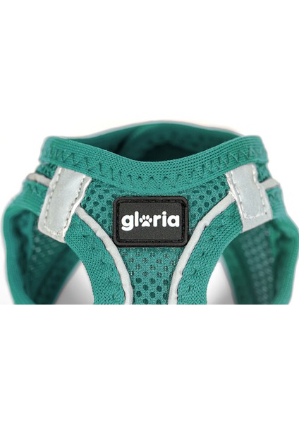 Köpek Tasması Gloria Trek Star 24-26 cm 28-28,6 cm Turkuaz Xxs (Yurt Dışından)