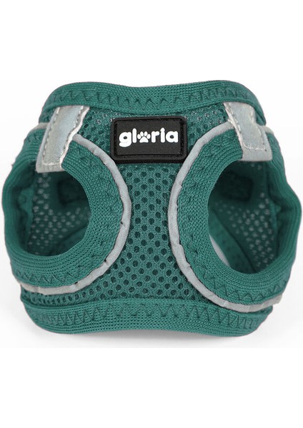 Köpek Tasması Gloria Trek Star 24-26 cm 28-28,6 cm Turkuaz Xxs (Yurt Dışından)