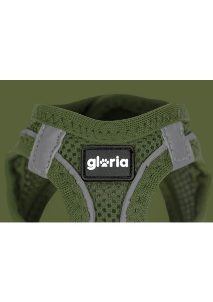 Köpek Tasması Gloria 41,4-43 cm Yeşil S 29,4-32,6 cm (Yurt Dışından)