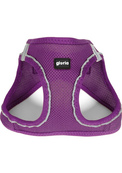 Köpek Tasması Gloria Trek Star 32,8-35,4 cm 45-47 cm Mor M (Yurt Dışından)