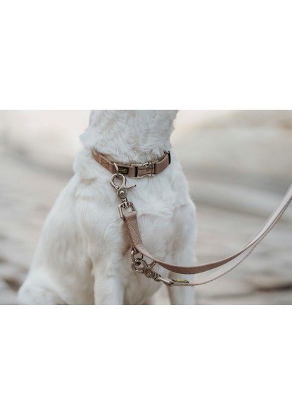 Köpek Tasması Hunter Inari Bej 40-55 cm L (Yurt Dışından)