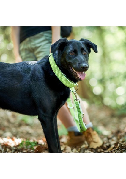 Köpek Tasması Hunter Vario Plus Iplikler L Beden Limon (40-60 Cm) (Yurt Dışından)