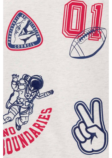 Erkek Çocuk Sweatshirt fiyatları