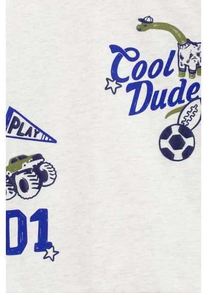 Küçük Erkek Çocuk Sweatshirt fiyatları